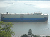 Autotransporter DREAM DIAMOND