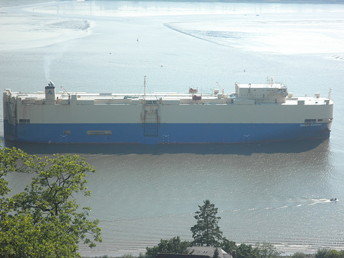 Autotransporter DREAM DIAMOND