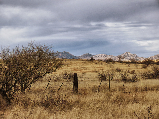 Santa Rita Foothills