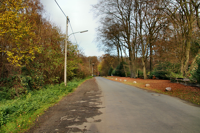 Holthäuser Straße (Oer-Erkenschwick) / 1.12.2018