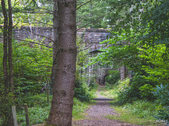 The old Dava Way rail track going under the Scurrypool Bridge