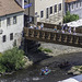 Sonntag an der Vltava bei Český Krumlov ... P.i.P.  (© Buelipix)