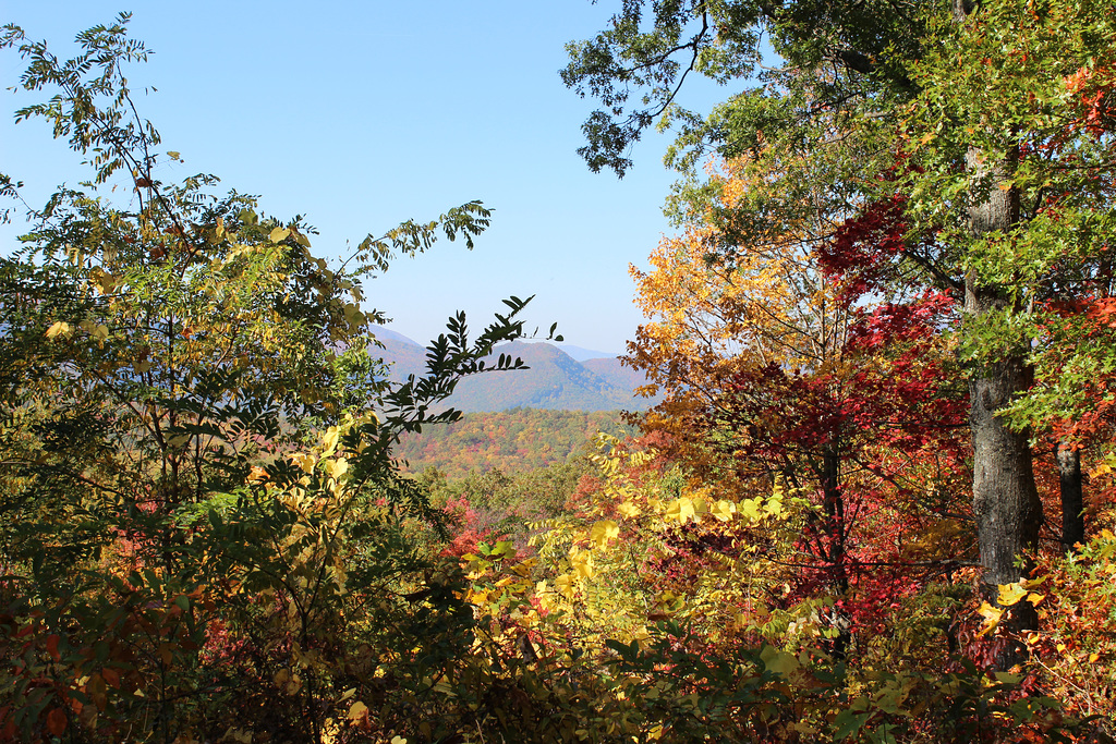 A colorful holiday in Gatlinburg, Tennessee ~~ USA