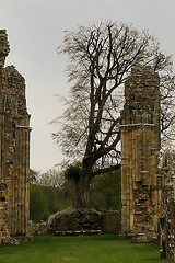 bayham abbey, sussex