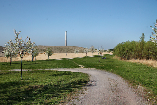 Weg zum Baumplateau und den Gräserfeldern (Halde Großes Holz, Bergkamen) / 9.04.2017