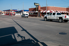 Ogallala horse shadow