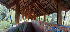 Holzbrücke über die Tauber