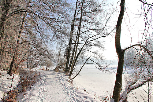 Spaziergang um den Rösslerweiher...