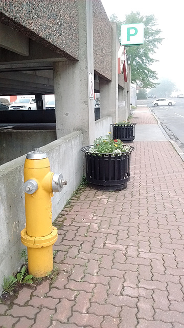 Parking hydrant