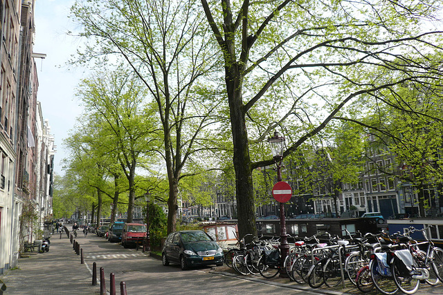 Bicycles In Amsterdam