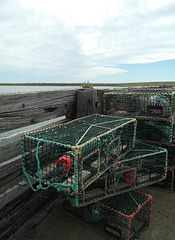 Clôture et cages à homards / Lobster cages with a fence