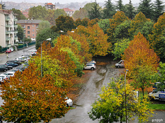 0640C00D-701C-488A-A147-2A63EB626378