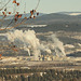 Quesnel' Pulp Industry