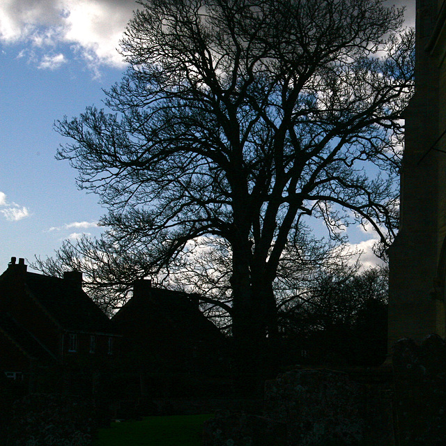 Steeple Ashton, Wilts