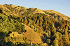 The Santa Lucia Mountains – Viewed from Nepenthe Restaurant, Monterey County, California