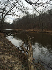 Rachel Carson Greenway