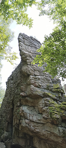 Vogelfelsen