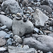IMG 0032-2