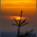 Sonnenuntergang in 1215m Höhe