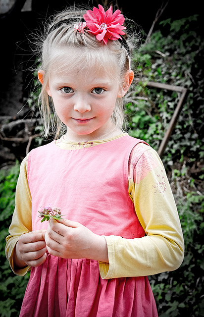 gentil coquelicot...