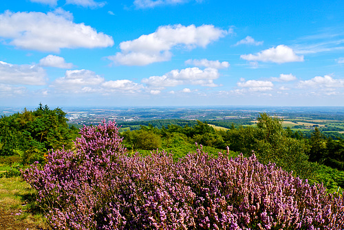 Looking towards Telford