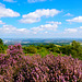 Looking towards Telford