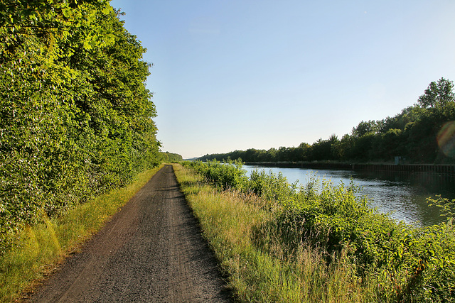 Weg am Datteln-Hamm-Kanal (Bergkamen) / 29.06.2019