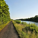 Weg am Datteln-Hamm-Kanal (Bergkamen) / 29.06.2019