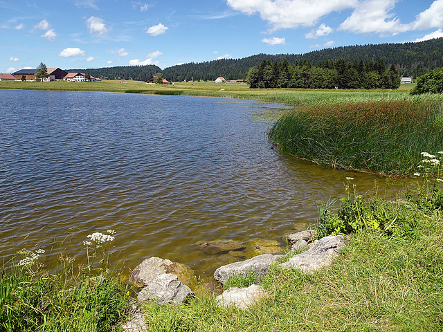 Sommer am  Lac des Taillères