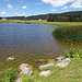 Sommer am  Lac des Taillères