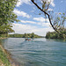 Rüdlingen - Am Alten Rhein (12) - Blick zur Thurmündung (1)