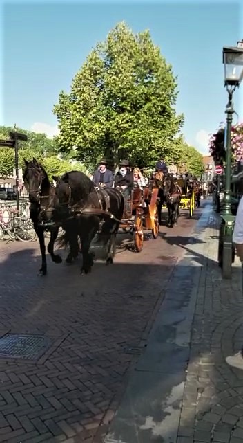 Jährliche Kutschenparade in Sluis - Niederlande