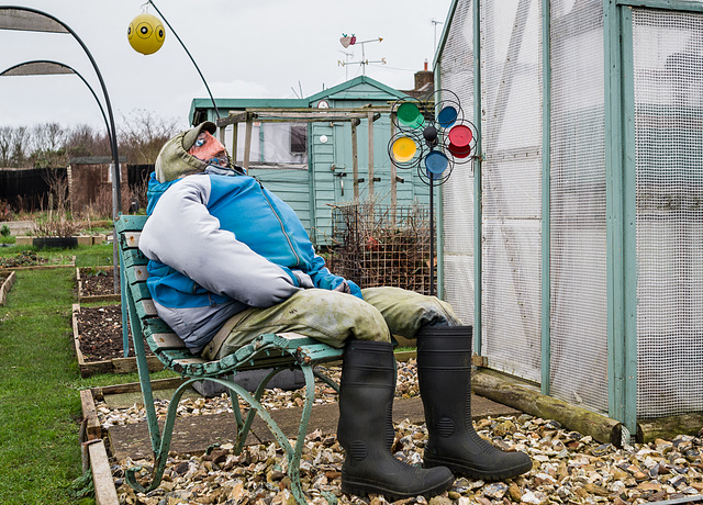 The watcher (Jan 03: allotments 2)