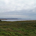 Immensité à saveur Terre-Neuvienne....