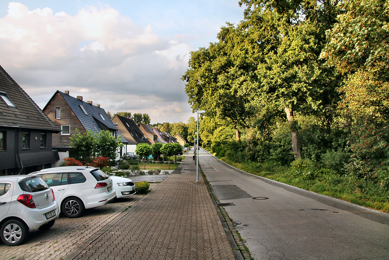 Im Emscherbruch (Gelsenkirchen-Resse) / 25.07.2022