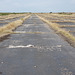 Disused Runway