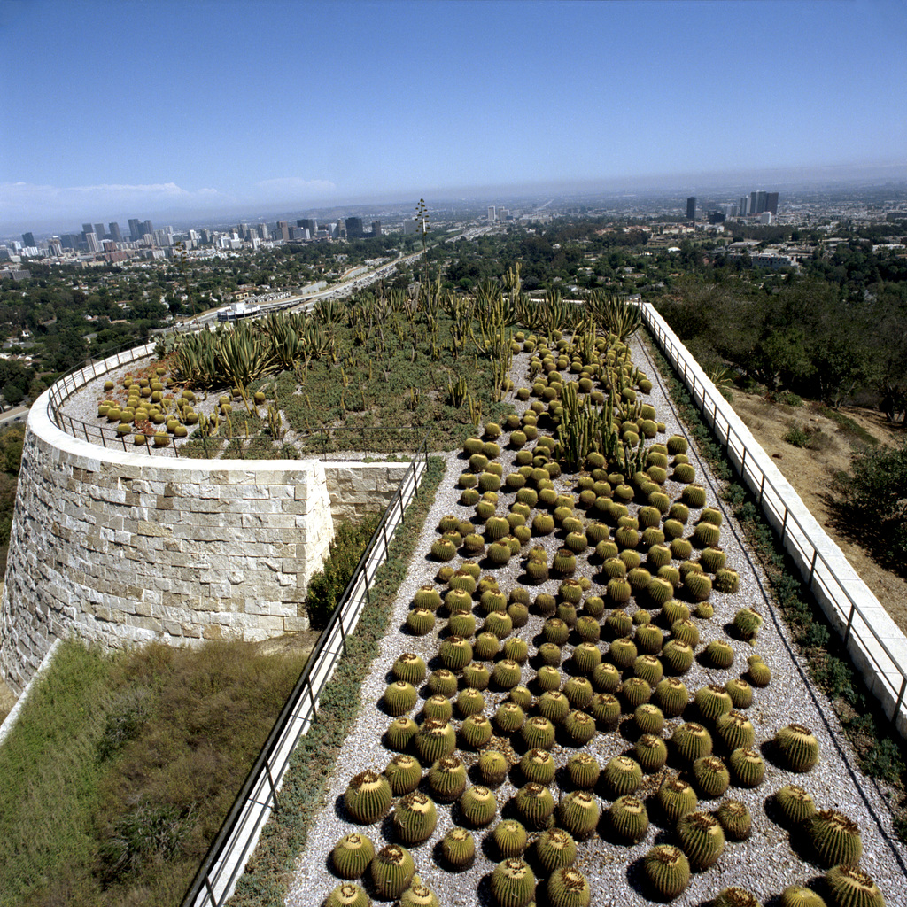 Cactus Enclosure