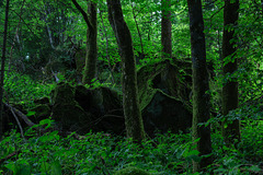 Auf dem Ernstberg in Hinterweiler in der Eifel