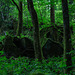 Auf dem Ernstberg in Hinterweiler in der Eifel