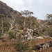 Snowdonia scenery