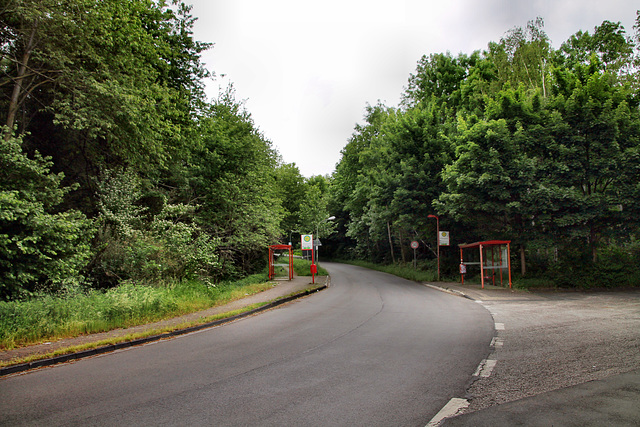 Armelerstraße (Bottrop-Vonderort) / 21.05.2022