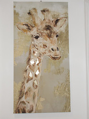 haw[25] - impressive Giraffe