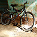 Abandoned Private