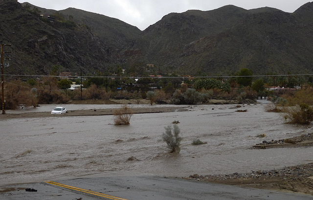 Palm Springs rain (#0333)