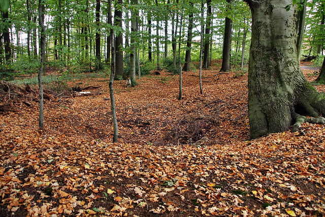 Eine Pinge der ehem. Zeche Schwarze Adler (Hixterwald, Holzwickede) / 21.10.2017