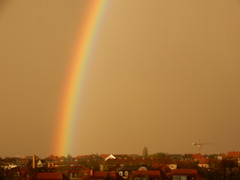 Regenbogen