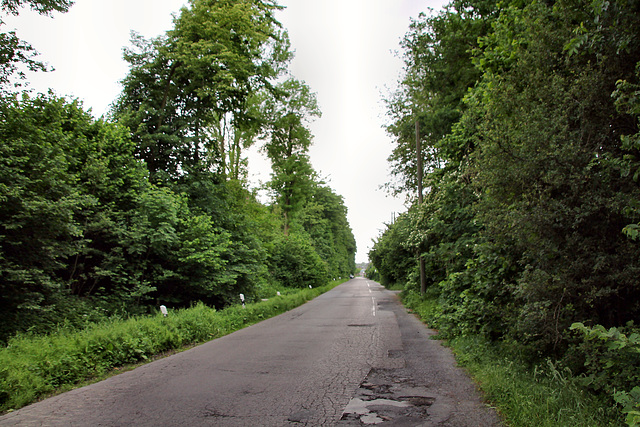 Vonderbergstraße (Bottrop-Vonderort) / 21.05.2022