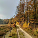 Herbstspaziergang