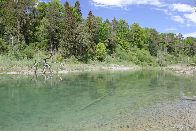 Rüdlingen - Am Alten Rhein (16)