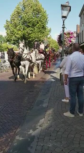 Kutschenparade in Sluis